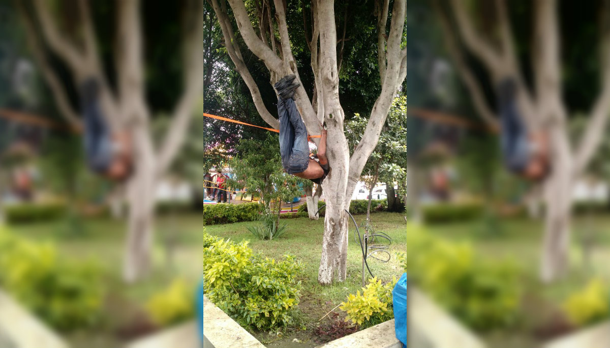 Cuelgan De Un árbol A Presunto Ladrón En Tlaxcala El Gráfico Historias Y Noticias En Un Solo Lugar 