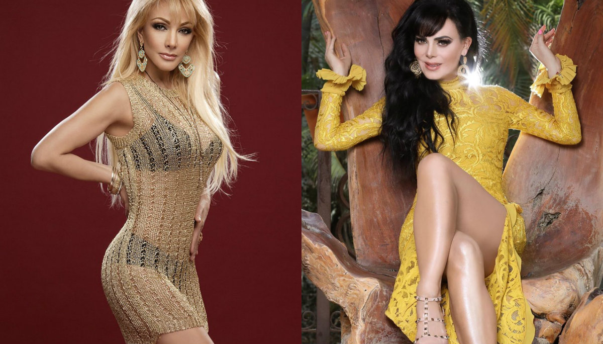 Olivia Collins presume cuerpazo y opaca a Maribel Guardia | El Gráfico  Historias y noticias en un solo lugar