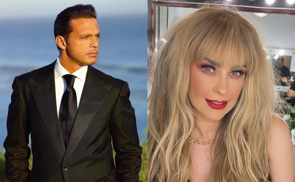 Hartos de agarrarse del chongo Aracely Arámbula y Luis Miguel llegan a un acuerdo El Gráfico