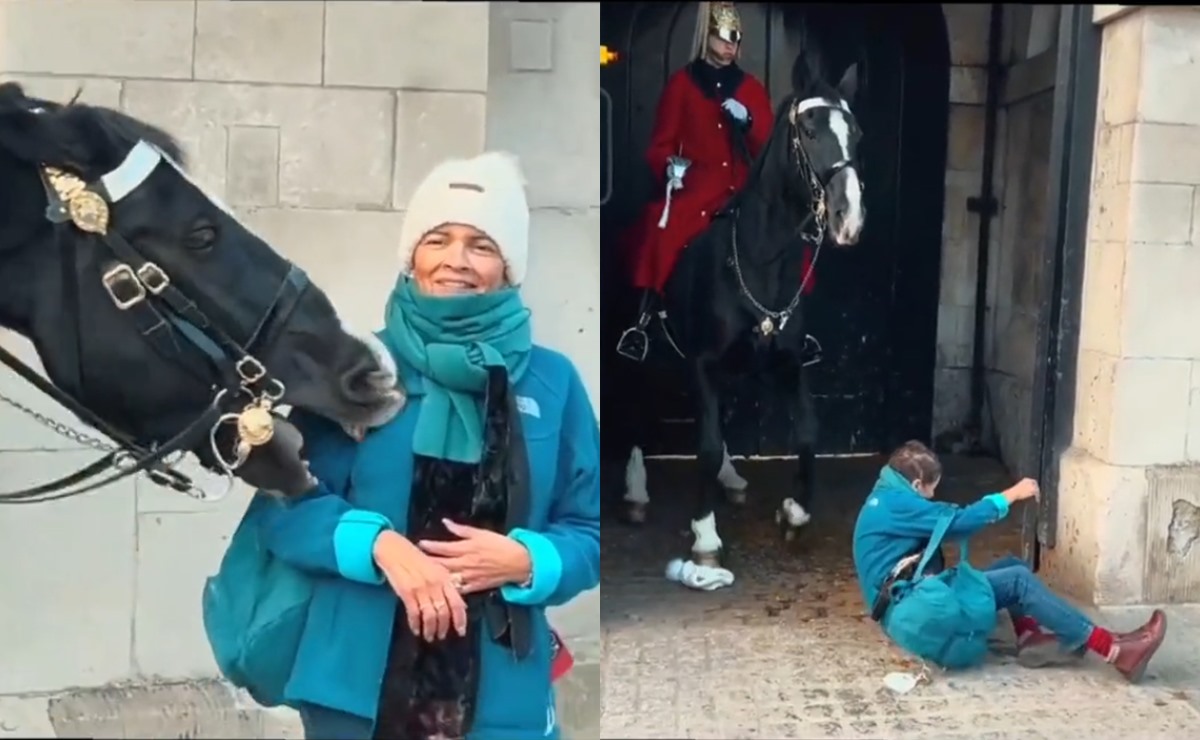 VIDEO: Caballos del Palacio de Buckingham se ponen violentos con ...