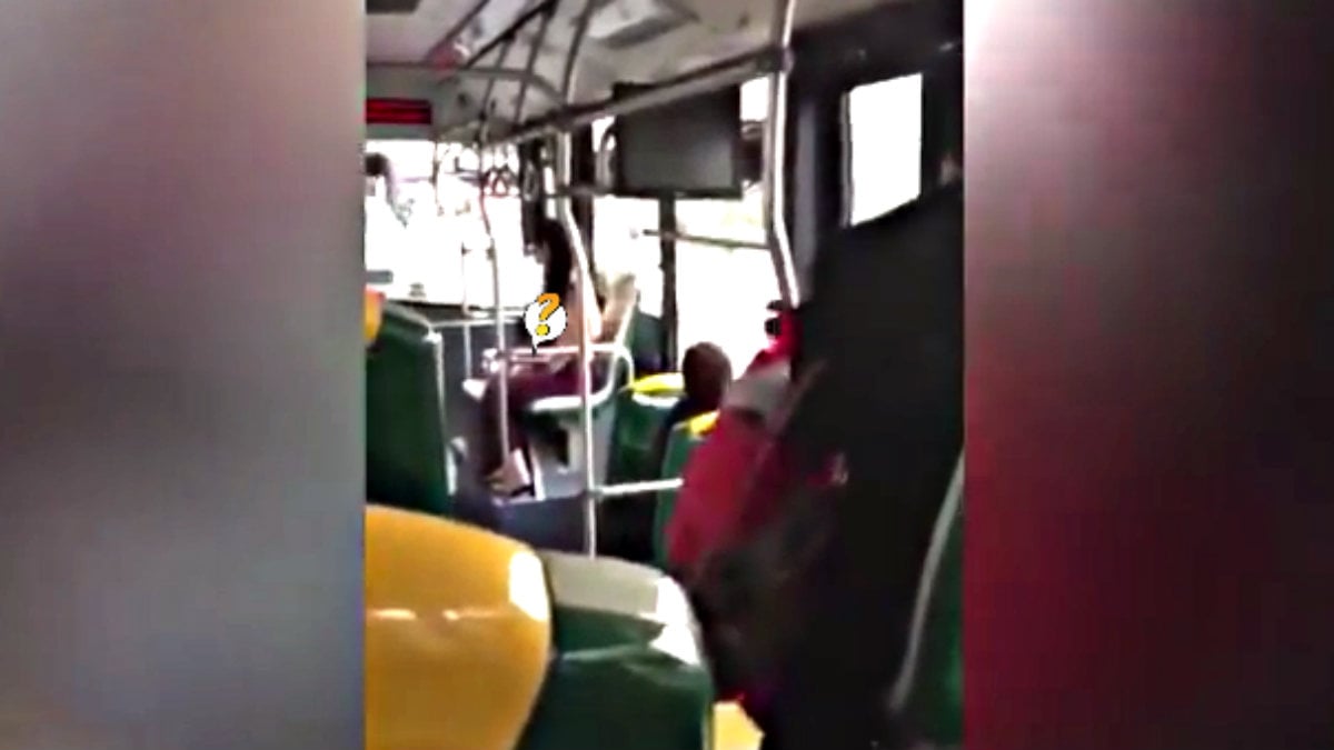 Mujer enseña senos en autobús | VIDEO | El Gráfico Historias y noticias en  un solo lugar