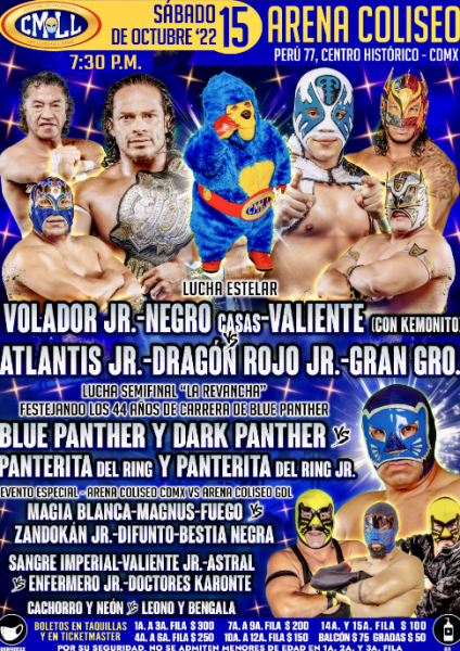 gráfico de ring de lucha libre