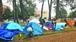 Se quiebra movimiento que protegía tala de árboles, en Paseo Tollocan