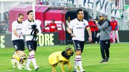 Colo Colo fomenta la adopción canina en partido de futbol