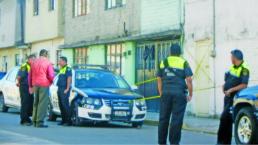 Anciana muere rodeada de gatos al interior de su hogar, en Toluca