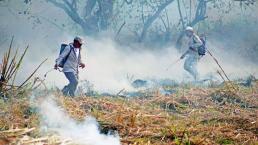 Suspenden apoyo a campesinos trabajadores de Bosque de Cuernavaca 