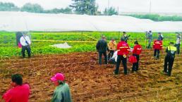 Rayo lo fulmina cuando estaba en un invernadero, en Coatepec de Harinas