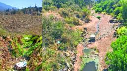 Sequía afecta a campesinos mexiquenses 