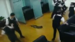 Serpiente cae del techo durante reunión en China