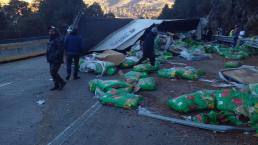 Choca tráiler de croquetas y muere trailero en la México Puebla