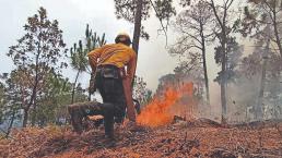 Incendios forestales en Morelos han afectado 772 hectáreas en 10 municipios