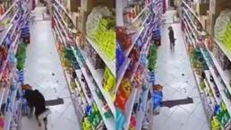 Video capta a perrito entrando en supermercado para surtirse de comida sin pagar por ella