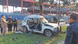 Automovilista derriba un árbol chiqui a toda velocidad, pero con el segundo se murió en Iztapalapa