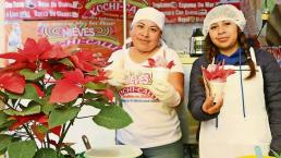 Negocio con 80 años de tradición crea la exótica y sabrosa nieve de Nochebuena