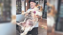 Conmovedora historia del rescate de un perrita gordita y bonita