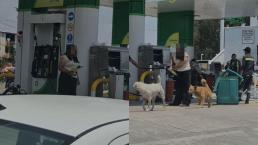 VIDEO: Mujer enloquece en gasolinera y amenaza de muerte a todos, hasta regañó a unos perros