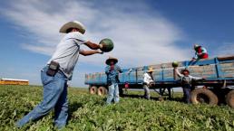 Indocumentados en EUA: gana más economía gringa si legalizan a los “mojados”