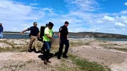 VIDEO: Cae un helicóptero mientras acarreaba agua en Chihuahua