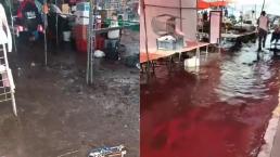 Se desborda río en Amecameca y sorprende a tianguistas