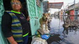 En Chalco vecinos abandonan sus viviendas por afectaciones de la inundación