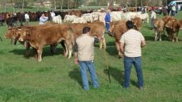 Vacas, granjeros