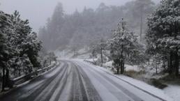 Reportan caída de nieve en La Marquesa y el Ajusco | VIDEOS